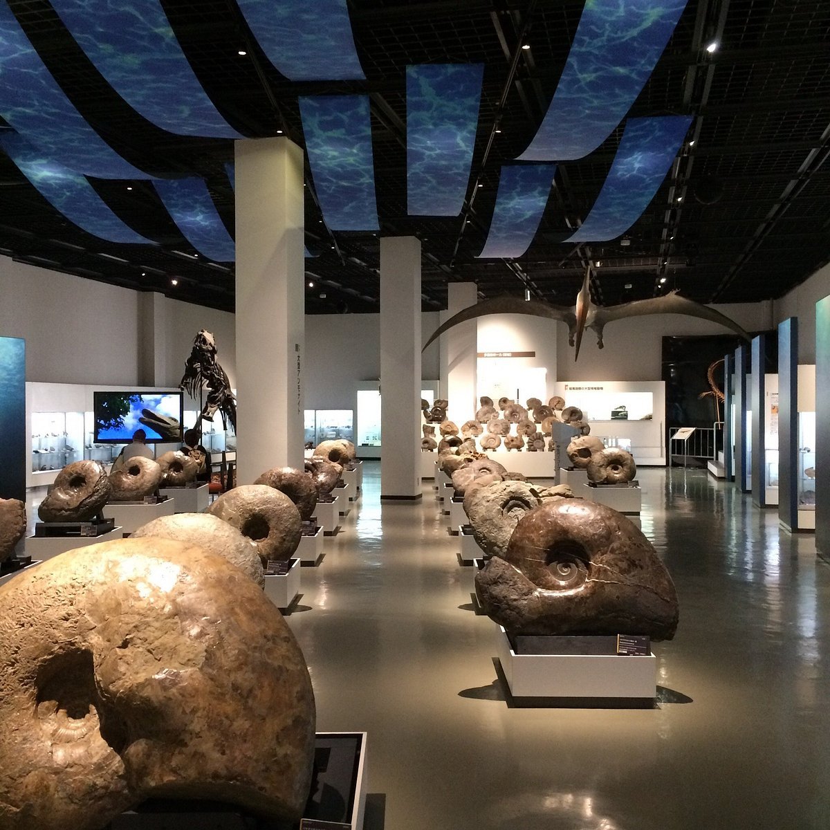 🚢 기념함 미카사 이미지 4